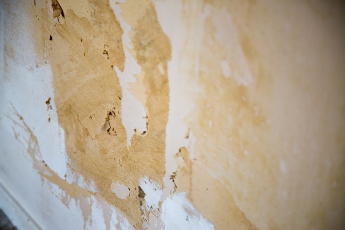 Paint, wallpaper sizing and drywall.