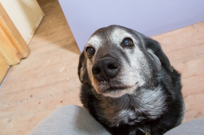 Please get me out of here.