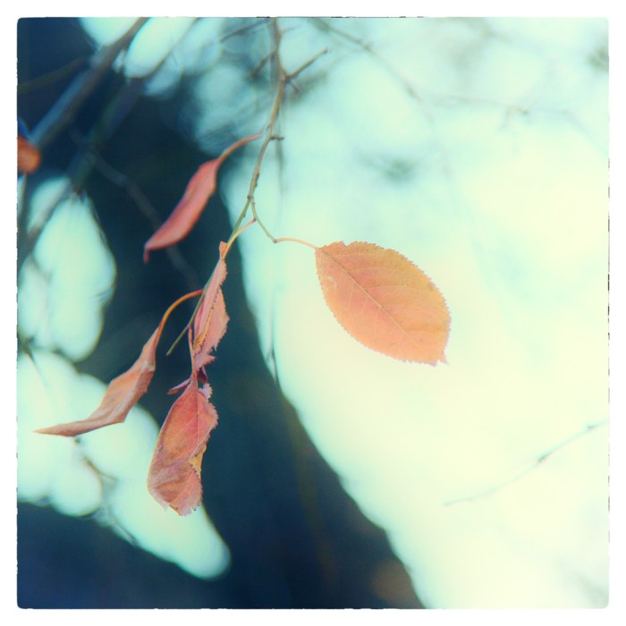 20131126-_R3B9260 web