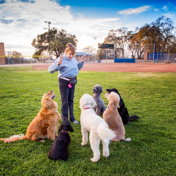 New friends for Obie T. and me