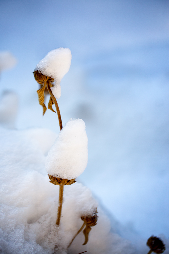 snow helmets