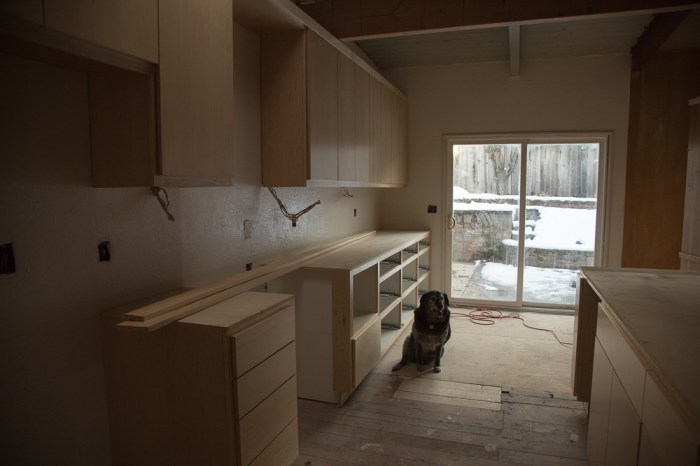 Looking out towards the back patio