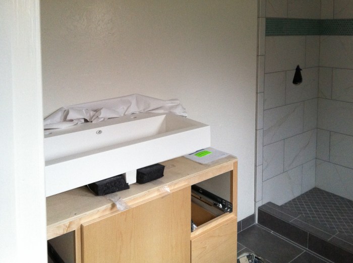 Another view of Master Bath trough sink