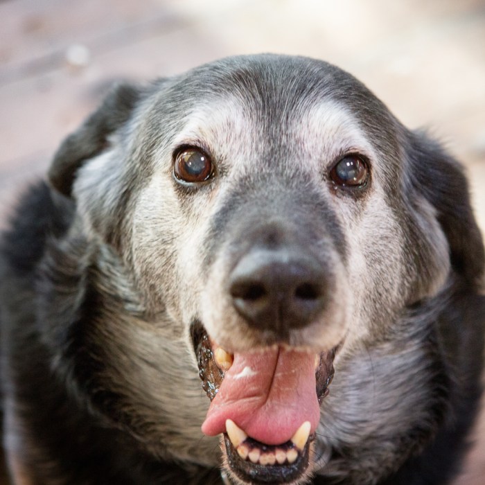 Not so ready for counter tops