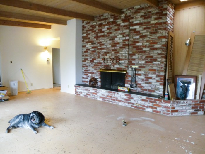 Obie sits on the floor looking out at the rainy day