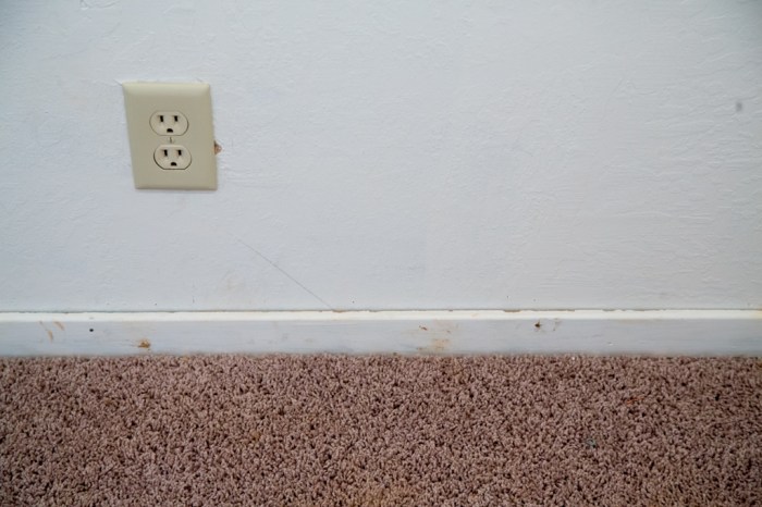 Outlet in Master Closet