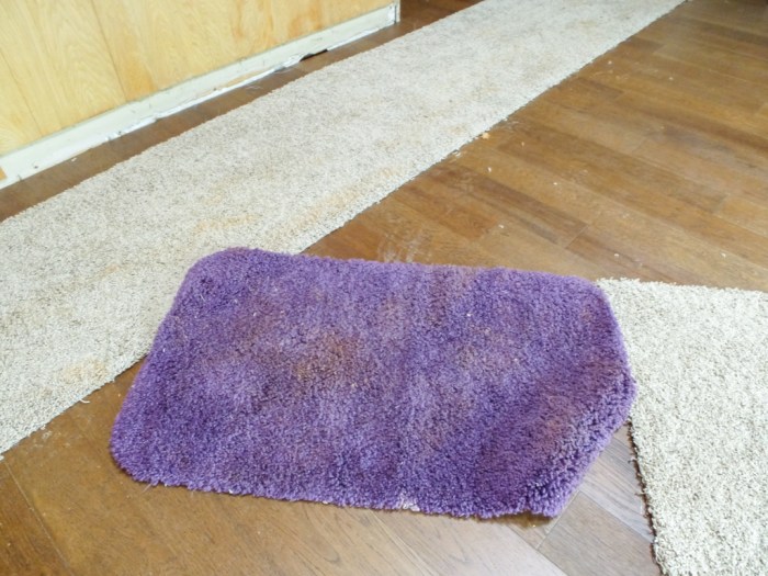 Purple rug brought indoors and caked with mud