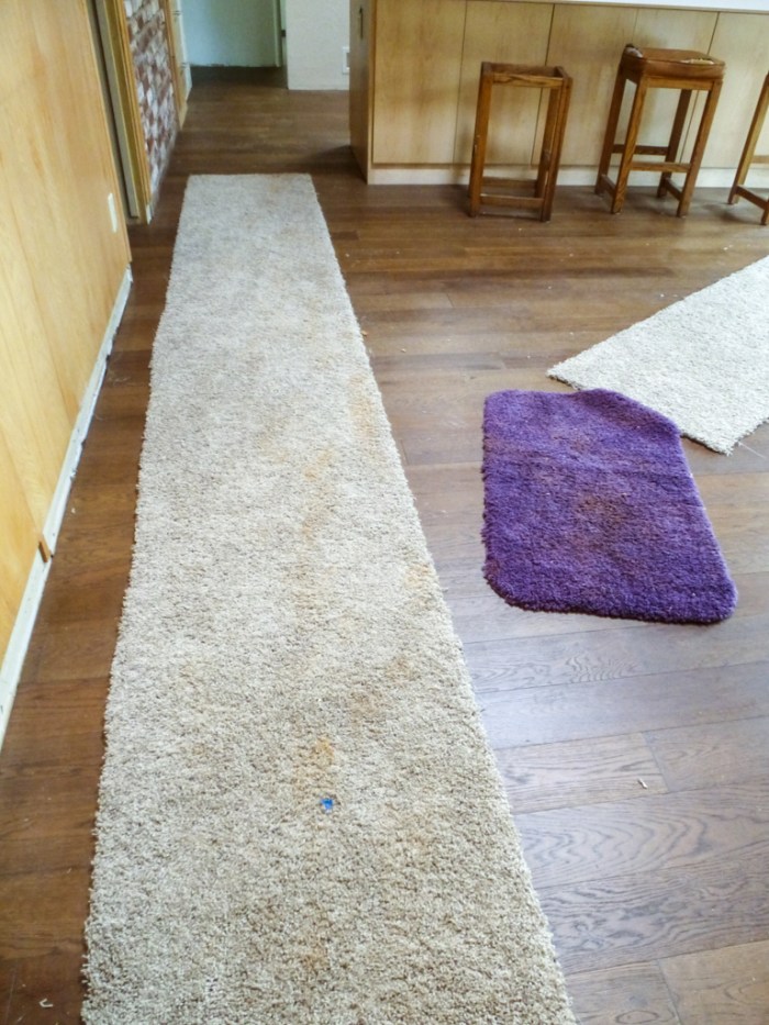 Carpet remnants and mud