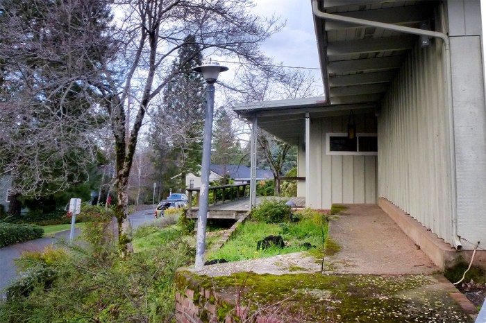 The front planter in March