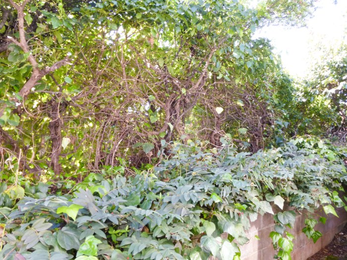 20140407-P1070316-web