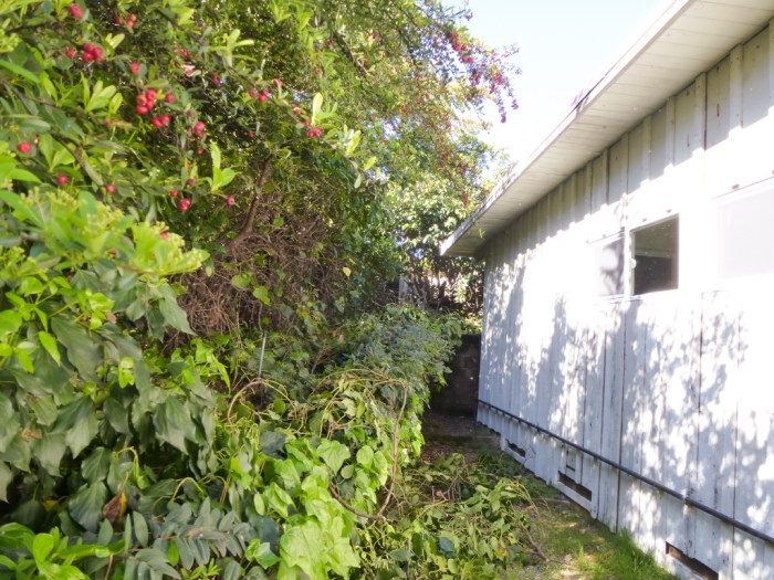 20140407-P1070317-web