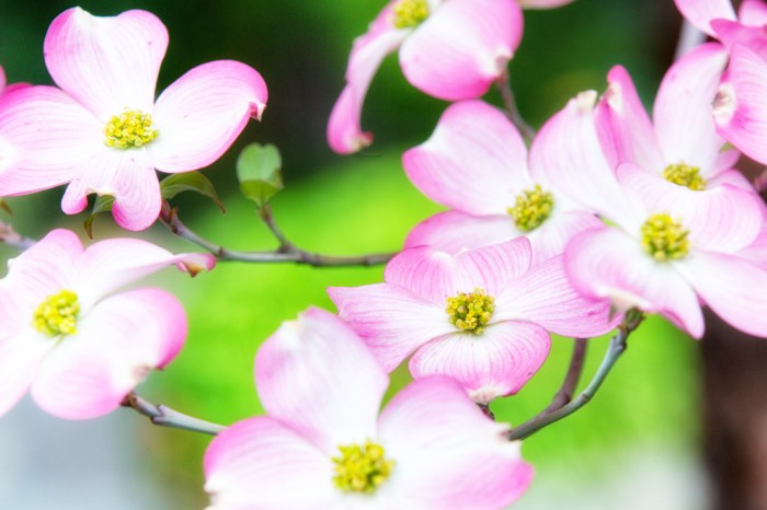 20140411-_R3B6612-Edit-web