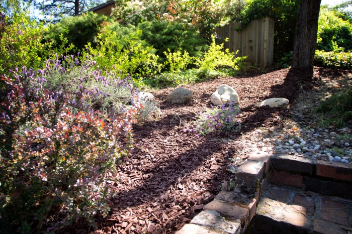 A nice little shady rock garden