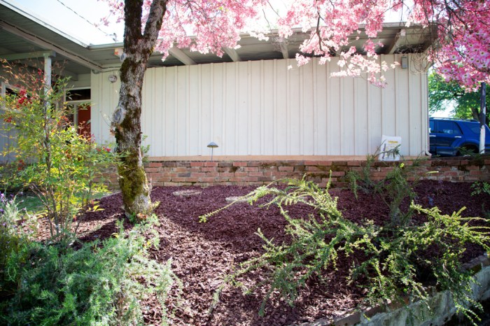 After weed blocker and mulch