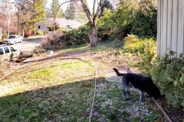 "Grass" and walkway area